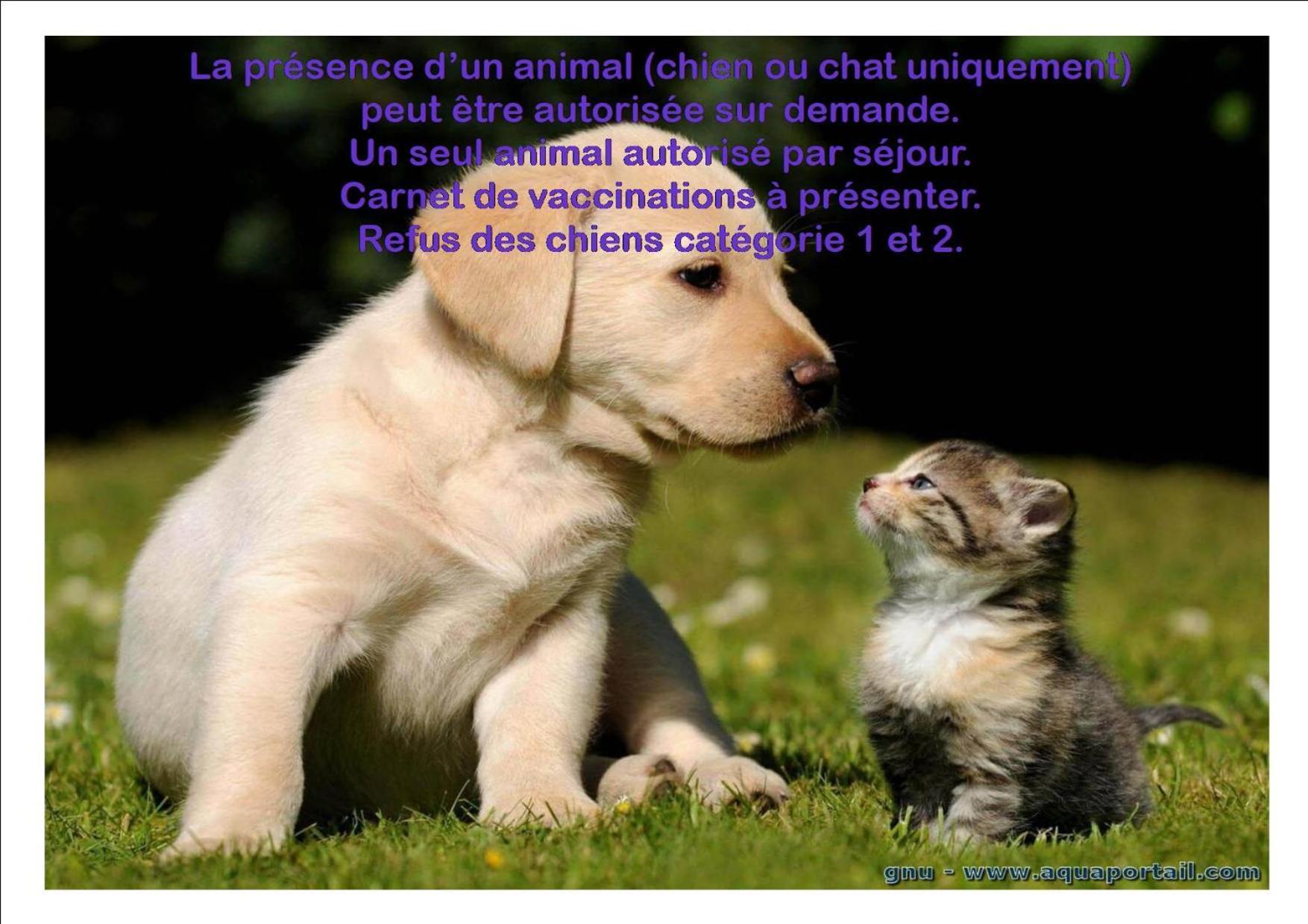 Le Gite Du Frene Poses Buitenkant foto